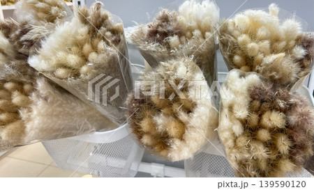 Bouquets of fluffy dried lagurus ovatus bunny tail grass in transparent packaging for interior decor Bouquets of fluffy dried lagurus ovatus bunny tail grass in transparent packaging for interior decor 139590120
