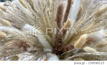 Close up of a fluffy floral arrangement featuring dried lagurus ovatus and pampas grass in neutral tones Close up of a fluffy floral arrangement featuring dried lagurus ovatus and pampas grass in neutral tones 139590123