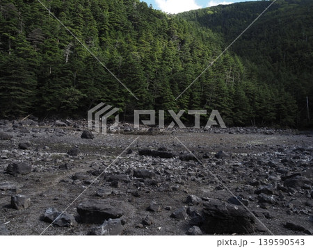 9月下旬の北横岳(長野県茅野市・佐久穂町) 9月下旬の北横岳(長野県茅野市・佐久穂町) 139590543
