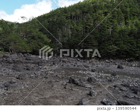 9月下旬の北横岳（長野県茅野市・佐久穂町） 139590544