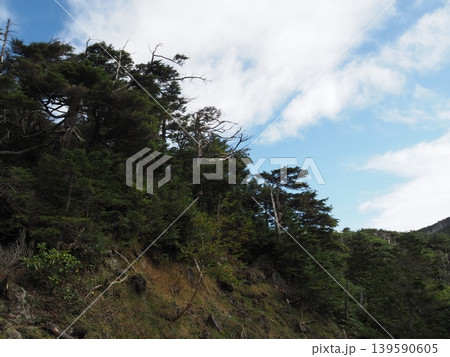 9月下旬の北横岳（長野県茅野市・佐久穂町） 139590605