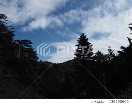 9月下旬の北横岳（長野県茅野市・佐久穂町） 139590606