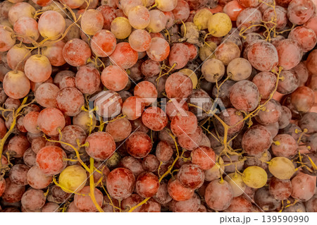Red grapes agriculture fresh food harvest natural ripe wine background Red grapes agriculture fresh food harvest natural ripe wine background 139590990