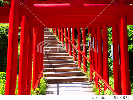 春の元乃隅神社 春の元乃隅神社 139591021