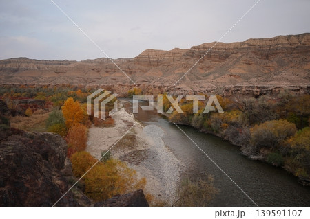 Charyn River flowing through canyon with autumn trees in Kazakhstan 139591107