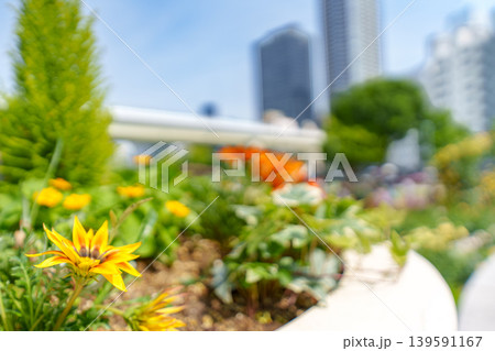 庭園のある都市風景 庭園のある都市風景 139591167