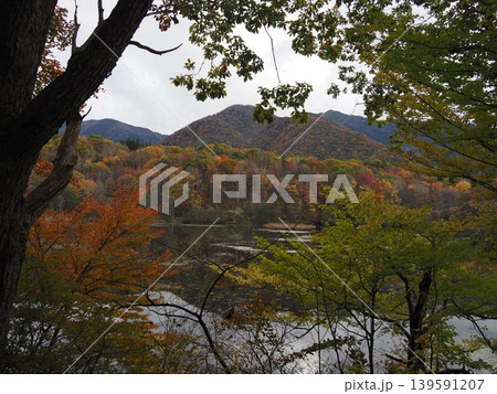 10月下旬の観音沼森林公園(福島県下郷町) 10月下旬の観音沼森林公園(福島県下郷町) 139591207