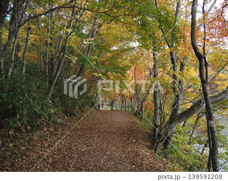 10月下旬の観音沼森林公園（福島県下郷町） 139591208