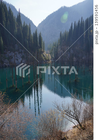 Kaindy Lake with submerged trees in Kazakhstan Kaindy Lake with submerged trees in Kazakhstan 139591456