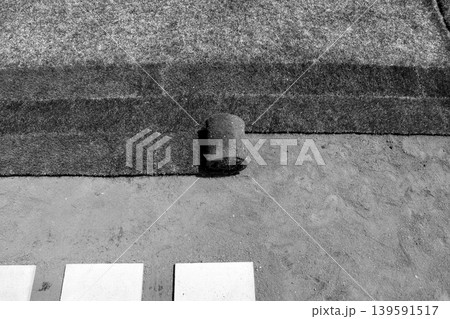 庭にロール巻き芝「ケンタッキーブルーグラス」を張る「白黒」 139591517