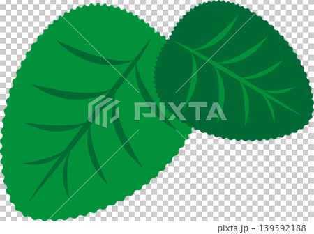 Simple leaf flat illustration Simple leaf flat illustration 139592188