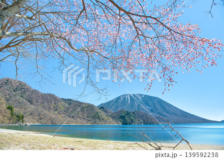 栃木県日光市 千手ヶ浜から見る満開の山桜と男体山と中禅寺湖 栃木県日光市 千手ヶ浜から見る満開の山桜と男体山と中禅寺湖 139592238