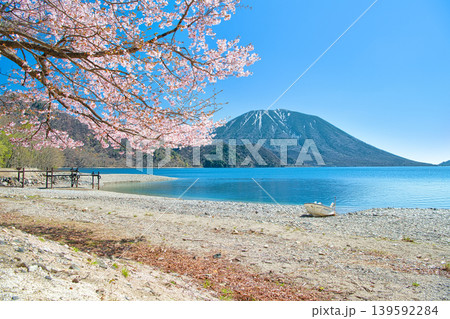 栃木県日光市 千手ヶ浜から見る満開の山桜と男体山と中禅寺湖 栃木県日光市 千手ヶ浜から見る満開の山桜と男体山と中禅寺湖 139592284