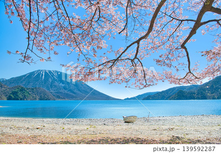 栃木県日光市 千手ヶ浜から見る満開の山桜と男体山と中禅寺湖 栃木県日光市 千手ヶ浜から見る満開の山桜と男体山と中禅寺湖 139592287