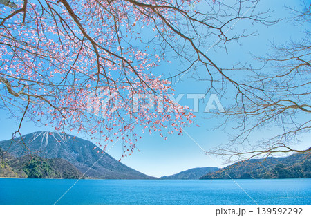 栃木県日光市　千手ヶ浜から見る満開の山桜と男体山と中禅寺湖 139592292