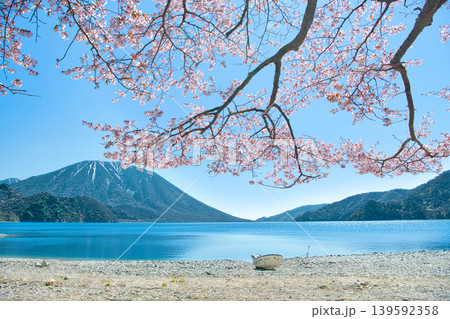 栃木県日光市 千手ヶ浜から見る満開の山桜と男体山と中禅寺湖 栃木県日光市 千手ヶ浜から見る満開の山桜と男体山と中禅寺湖 139592358