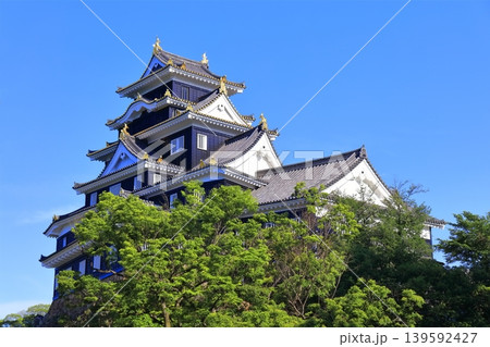 【岡山県】春の岡山城の天守閣（令和の大改修後） 139592427