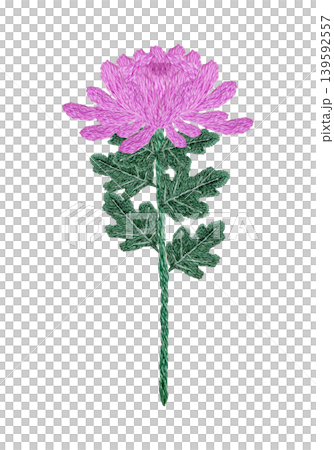 [Chrysanthemum Flower] Hand-embroidered illustration material 139592557