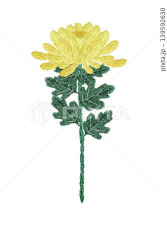 【菊の花】手刺繍イラスト素材 【菊の花】手刺繍イラスト素材 139592630