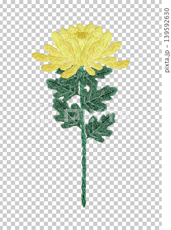 【菊の花】手刺繍イラスト素材 【菊の花】手刺繍イラスト素材 139592630