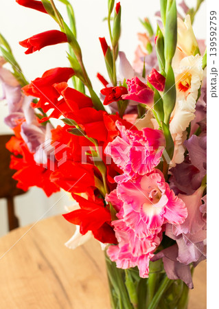 A group of mixed gladiolus flowers in shades of red, white, yellow, and purple stands in a vase. The flowers are fresh and arranged closely, creating a colorful bouquet A group of mixed gladiolus flowers in shades of red, white, yellow, and purple stands in a vase. The flowers are fresh and arranged closely, creating a colorful bouquet 139592759