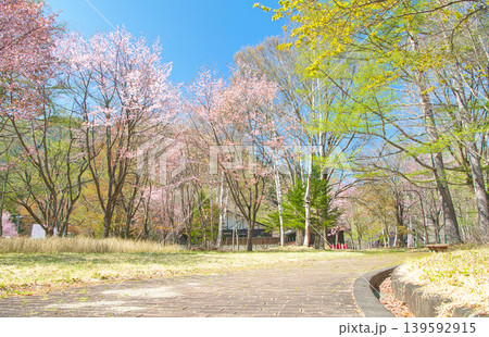 栃木県日光市 春を迎える奥日光の湯元温泉と満開の山桜 栃木県日光市 春を迎える奥日光の湯元温泉と満開の山桜 139592915