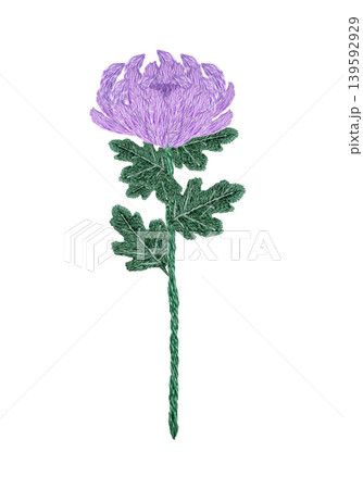 【菊の花】手刺繍イラスト素材 【菊の花】手刺繍イラスト素材 139592929
