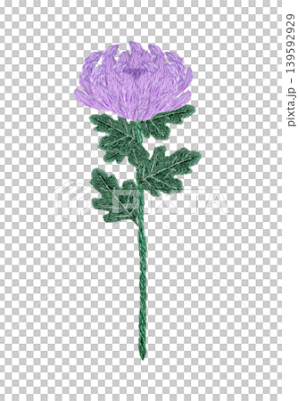 【菊の花】手刺繍イラスト素材 【菊の花】手刺繍イラスト素材 139592929
