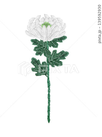 【菊の花】手刺繍イラスト素材 【菊の花】手刺繍イラスト素材 139592930