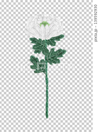 【菊の花】手刺繍イラスト素材 【菊の花】手刺繍イラスト素材 139592930