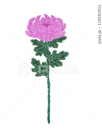 【菊の花】手刺繍イラスト素材 【菊の花】手刺繍イラスト素材 139592931