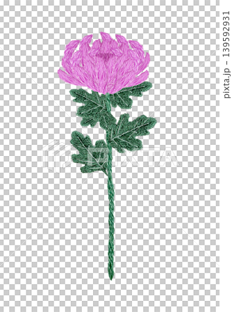 【菊の花】手刺繍イラスト素材 【菊の花】手刺繍イラスト素材 139592931