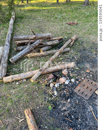 Scattered firewood next to a burnt-out campfire in the forest, a camping and barbecue scene in nature 139593041