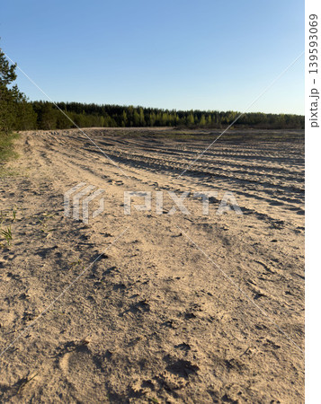 Sandy dirt road with tire tracks along pine forest, rural off-road landscape in the rays of the setting sun Sandy dirt road with tire tracks along pine forest, rural off-road landscape in the rays of the setting sun 139593069