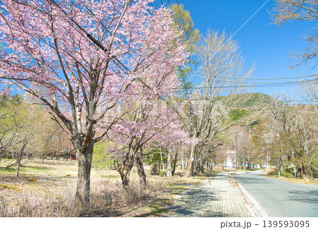 栃木県日光市 春を迎える奥日光の湯元温泉と満開の山桜 栃木県日光市 春を迎える奥日光の湯元温泉と満開の山桜 139593095