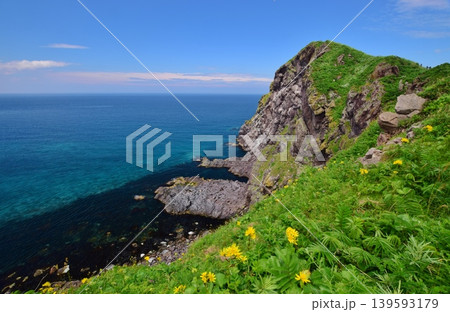 利尻島の夏景色 利尻島の夏景色 139593179