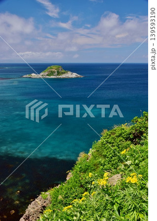 利尻島の夏景色 利尻島の夏景色 139593190