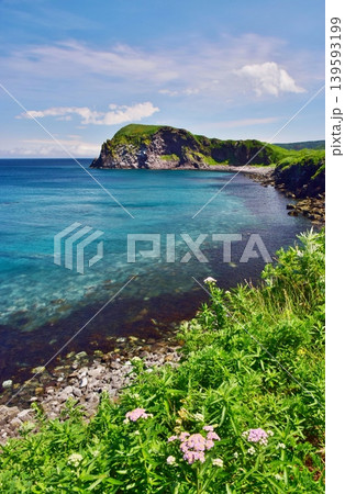 利尻島の夏景色 利尻島の夏景色 139593199