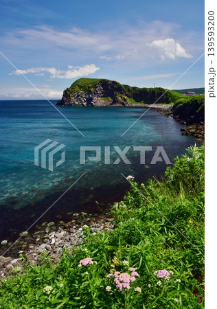 利尻島の夏景色 139593200