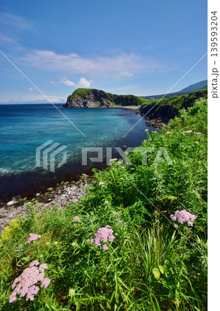利尻島の夏景色 139593204