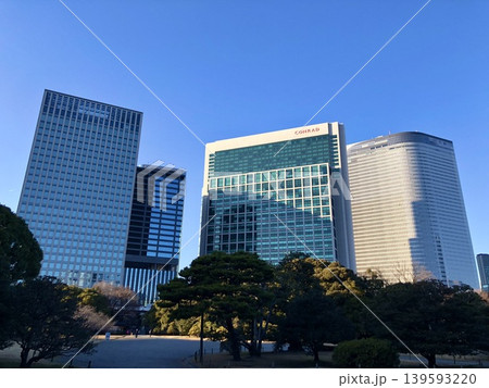 浜離宮恩賜庭園から見えるビル群 浜離宮恩賜庭園から見えるビル群 139593220