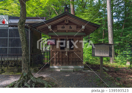 滋賀 日吉大社 神馬 滋賀 日吉大社 神馬 139593523