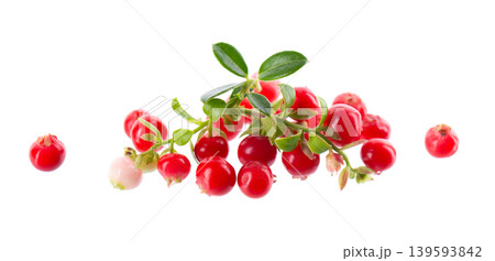 Fresh cowberry berries with leaves, isolated on white background. Ripe cranberry, cowberry, lingonberry. Clipping path. Fresh cowberry berries with leaves, isolated on white background. Ripe cranberry, cowberry, lingonberry. Clipping path. 139593842
