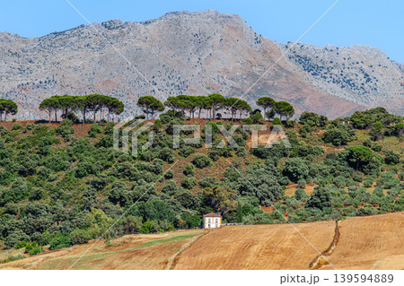 Landscape near the city of Ronda, Andalusia, Spain 139594889
