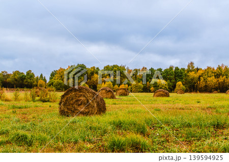 Fields of hay bales under overcast skies in autumn landscape with vibrant foliage Fields of hay bales under overcast skies in autumn landscape with vibrant foliage 139594925