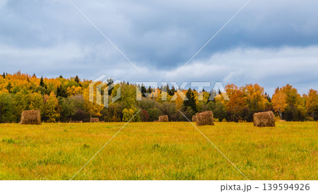 Fields of hay bales under overcast skies in autumn landscape with vibrant foliage 139594926