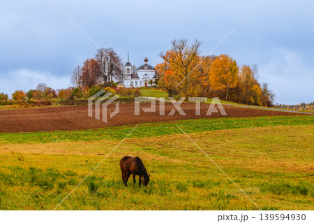 Horse grazing in an autumn landscape near a historic building in a rural setting 139594930