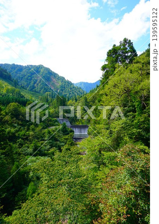山形県　最上郡　真室川町　八敷代川 139595122