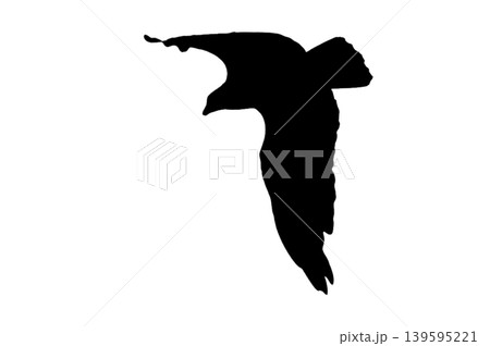 Raptor Silhouette isolated white background Raptor Silhouette isolated white background 139595221