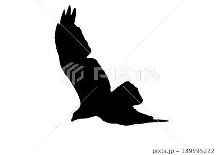 Symbolic Flying Hawk Icon, Conceptual Black Silhouette Illustration in Simple Minimalist Style isolated white background Symbolic Flying Hawk Icon, Conceptual Black Silhouette Illustration in Simple Minimalist Style isolated white background 139595222